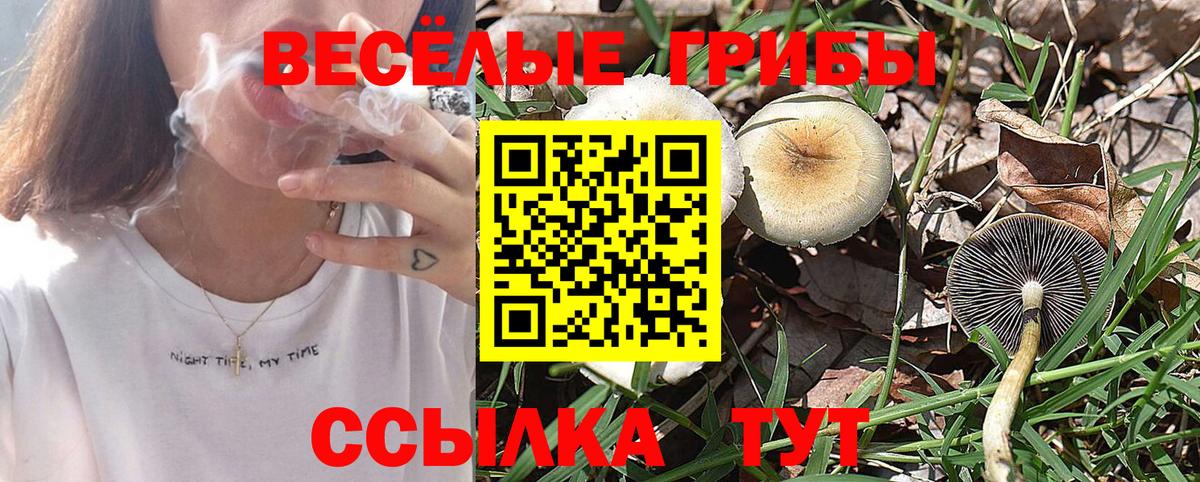 Псилоцибиновые грибы Psilocybine cubensis  Вход с VPN  Людиново 