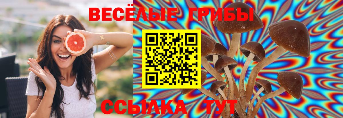 Псилоцибиновые грибы прущие грибы Людиново